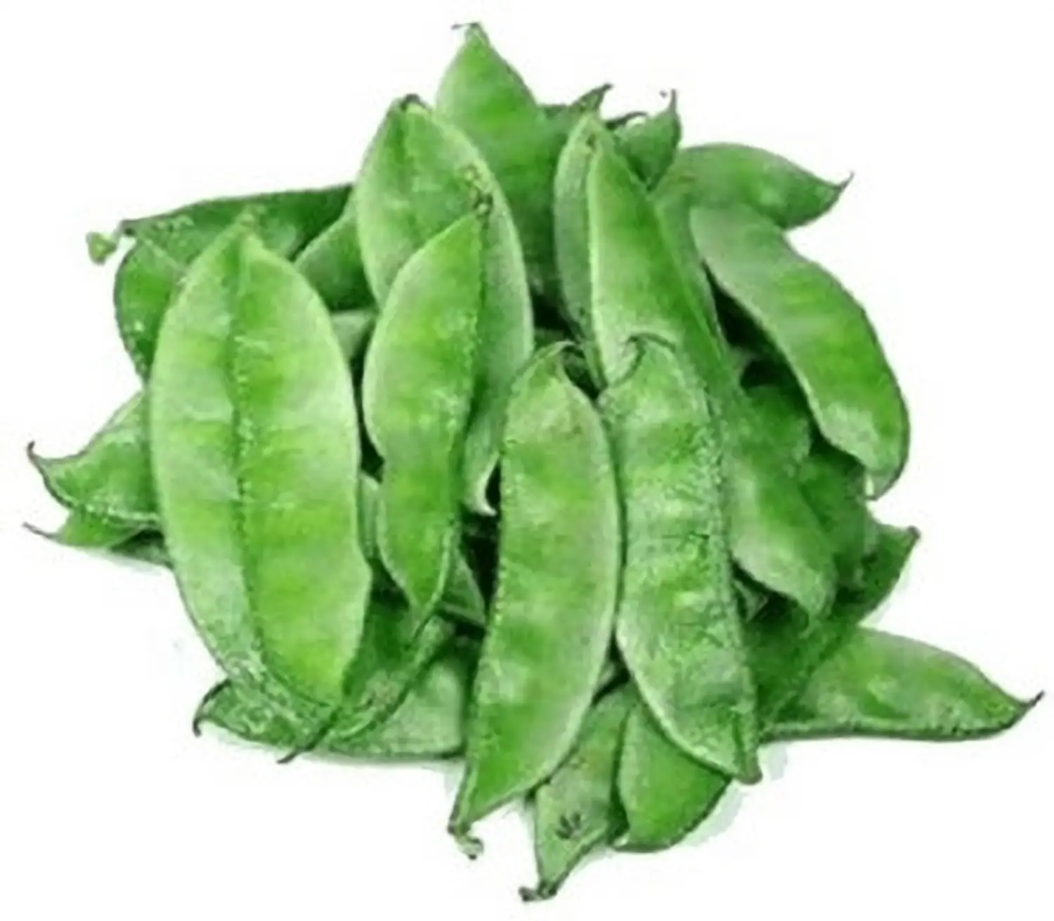 Board Beans ( শিম ) shim