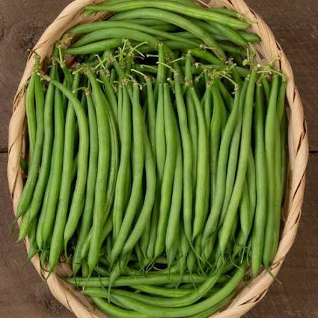 freanch Bean (ছোট ফ্রেঞ্চ বিন  )