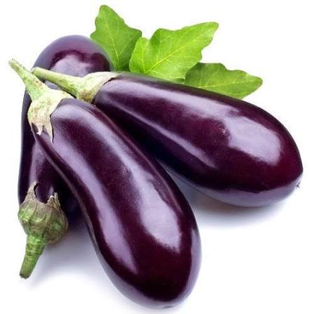 Eggplant ( কালো বেগুন ) begun