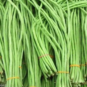 freanch bean ( বরবটি ) borboti