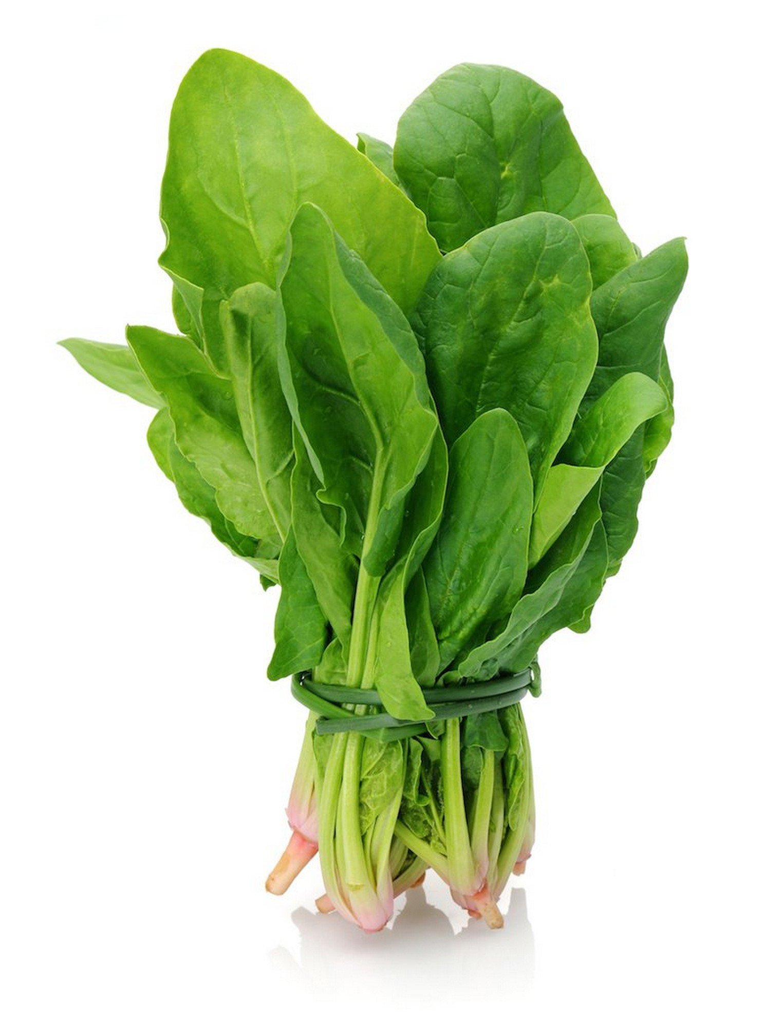 spinach (পালং শাক) palong shak
