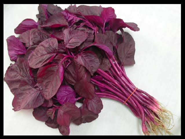 Red amaranth (লাল শাক) Lal Shak