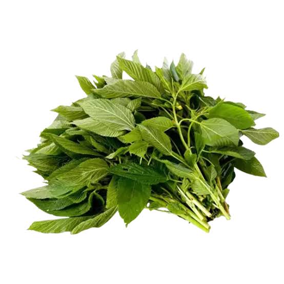 Jute leaves (পাট শাক) pater shak