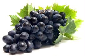 Black grapes ( কালো আঙুরে ) kalo angur