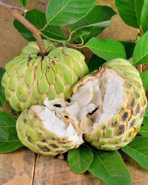 Custard apple ( আতা  ) ata