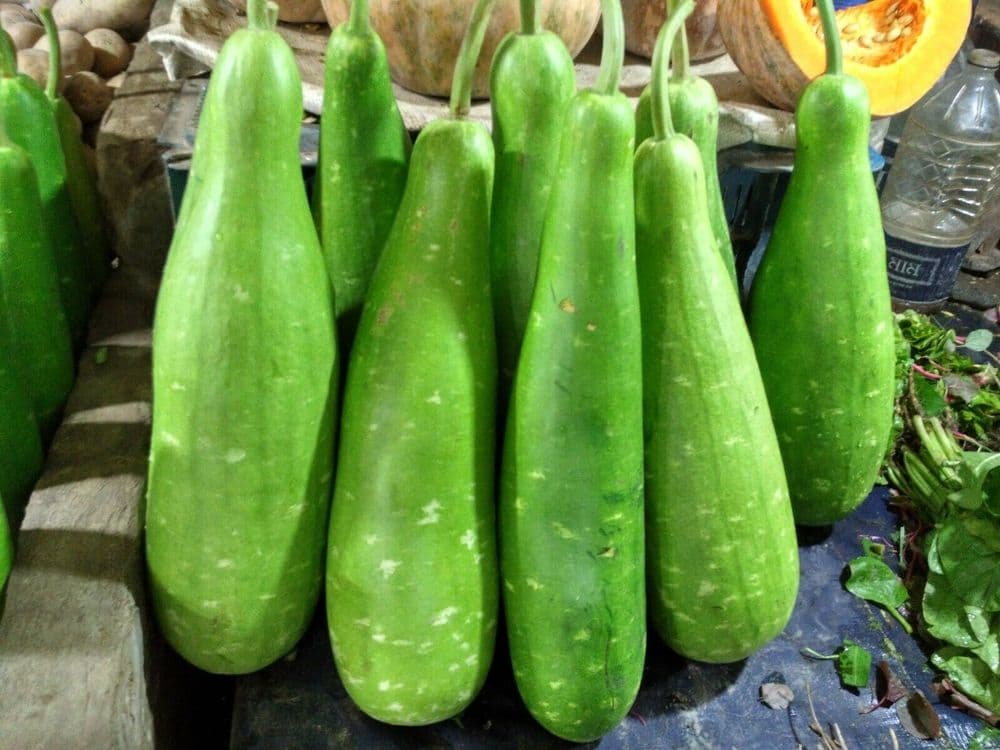 Bottle gourd (lau)